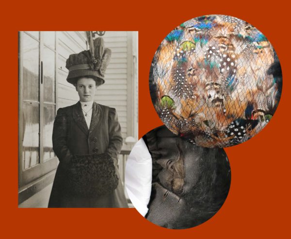 Il y a trois images; une femme arborant un manchon en 1914, un gros plan sur les plumes et un sur des déchirures.